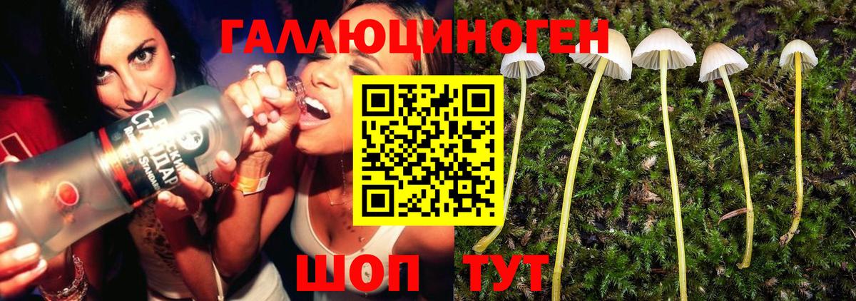 Дивногорск  Галлюциногенные грибы Magic Shrooms  Псилоцибиновые грибы GOLDEN TEACHER  Вход с VPN 
