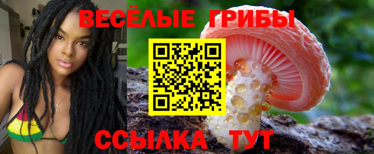 Галлюциногенные грибы MAGIC MUSHROOMS Дивногорск